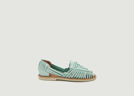 MAPACHE ALEGRE MENTHE